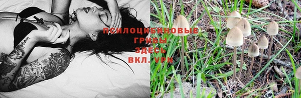 спайс Горно-Алтайск