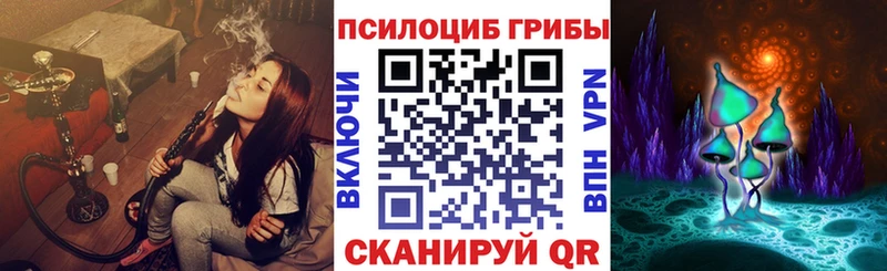 Псилоцибиновые грибы Cubensis  купить   Екатеринбург 