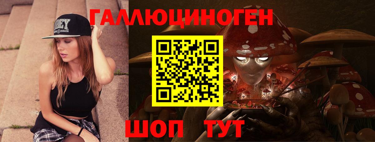 Галлюциногенные грибы Psilocybe Екатеринбург